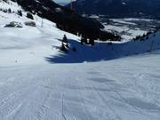 Piste lisce