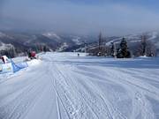 Pista facile Sielska