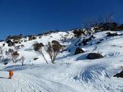 Pendii freeride e di neve fresca nella parte superiore di Thredbo