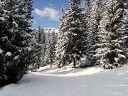 Discesa a valle Hattey verso Verbier