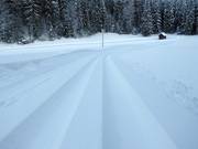 Tracciato perfetto per lo sci di fondo