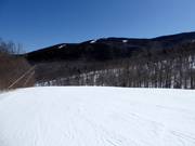 Pista facile e larga presso la Jordan Bowl