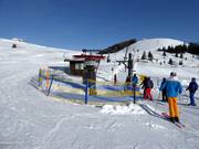 Stierlerhüttelift - Skilift con T-bar/ancora