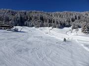 Sciovia Madrisa con pista in valle