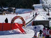 Marmotta - Tapis roulant/Tappeto Magico