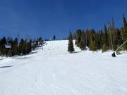 Discesa Take a Bough