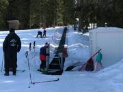 #12 Malina - Tapis roulant/Tappeto Magico