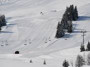Perfetto tappeto di piste sul Mont Bisanne