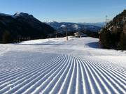 Pista perfetta a Latemar