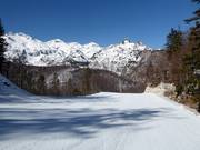 Pista Zadnji Vogel n. 10