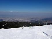 Pista Laleto lesna 3