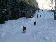 Elektrolift (Lift 3) - Skilift con T-bar/ancora