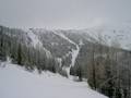 Piste Schweitzer Mountain Resort