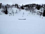 Suggerimento per i più piccoli 