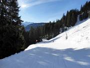 Discesa a valle verso Bolsterlang