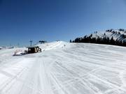 Sciovia presso il Brandstadl a Scheffau