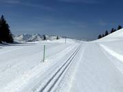 Piste da fondo alla stazione a monte Danusa