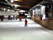 Seillift Bottrop - Manovia/Babylift a fune bassa