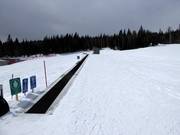 Tappeto mobile per principianti