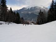 Discesa a valle Jorland