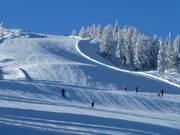 Terreno ondulato presso lo spacejet 3