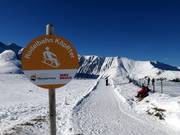 Suggerimento per i più piccoli 