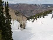 Discesa freeride e fuoripista