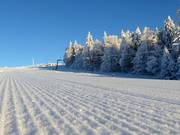 Ottima preparazione delle piste a Mitterdorf