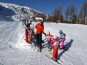 Suggerimento per i più piccoli  - Falcaland/Le Buse (Falcade)