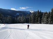 Facile discesa per famiglie al Großberg