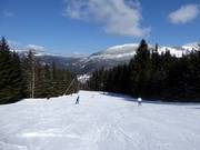 Pista intermedia Červená FIS