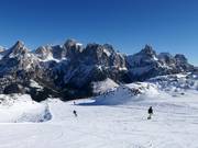 Vista sulla Pala di San Martino (gruppo delle Pale)