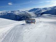 Le diramazioni sono chiaramente segnalate.