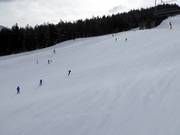 Ottima preparazione delle piste