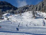 Innevamento con lance a Wegscheid