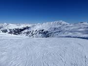 Pista facile Gensbichlalm-Braunkogel