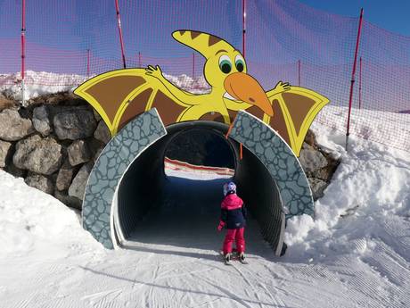 Comprensori sciistici per famiglie Pillerseetal – Famiglie e bambini Steinplatte Winklmoosalm - Waidring/Reit im Winkl