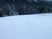 Pendenza ampia e pianeggiante presso lo skilift Schnitzlerwieslift