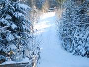 Hohe Bracht 2 - Manovia/Babylift a fune bassa