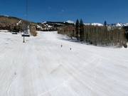 Discesa facile Meadows