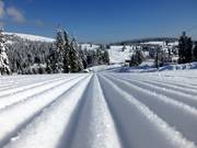 Pista da sogno al Grafenmatt