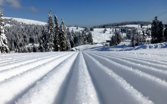 Preparazione delle piste Brisgovia-Alta Foresta Nera – Preparazione delle piste Feldberg - Seebuck/Grafenmatt/Fahl