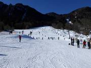 Pista di esercitazione allo Streidlhang