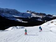 Pista presso la seggiovia Florian