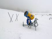 Cannone da neve allo Steckenberg