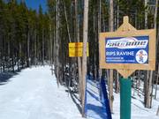 Pista per bambini Rip’s Ravine