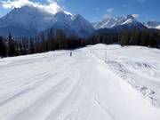 Facile discesa a valle verso Ftan