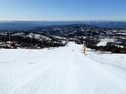 Pista Bøseterbakken n. 28