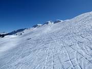 Ampie piste al Klingenstock