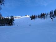 Pista nera Sylvester